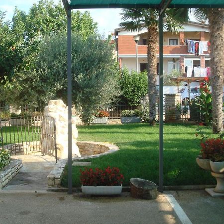 Apartments And Rooms Branka Novigrad Istria Eksteriør billede